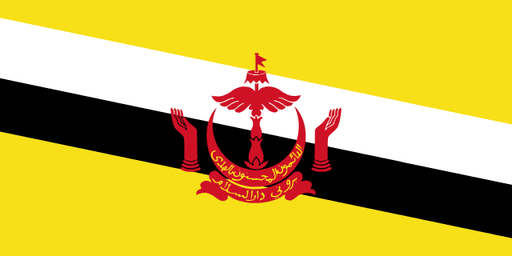 Brunei Darussalam eSIM